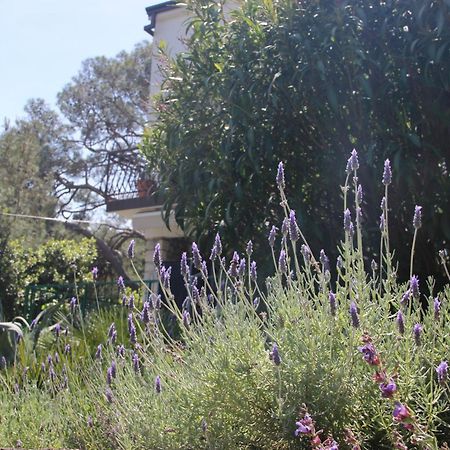 Cappelli Apartments - Losinj 木洛希尼 外观 照片