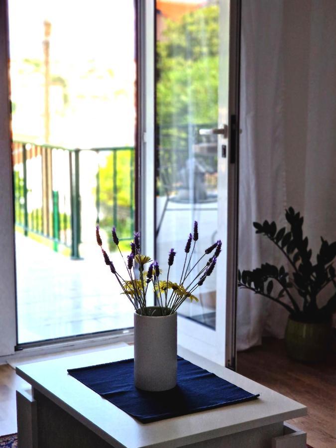 Cappelli Apartments - Losinj 木洛希尼 外观 照片