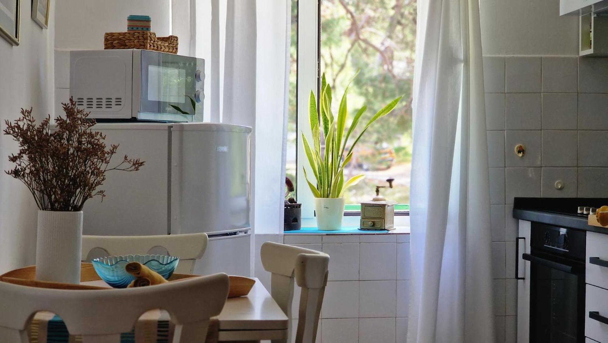 Cappelli Apartments - Losinj 木洛希尼 外观 照片